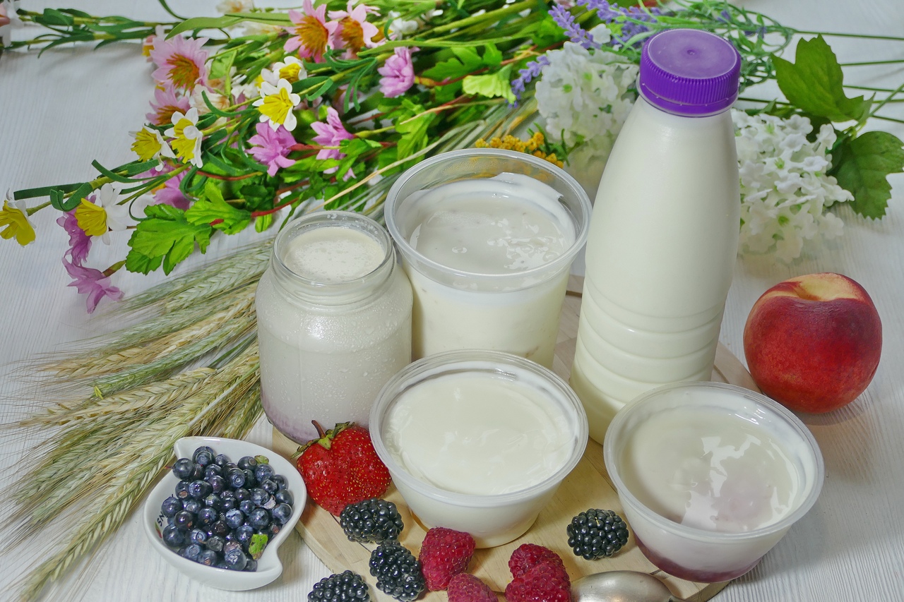 Почему столь важно включать в свой рацион кисломолочные продукты?